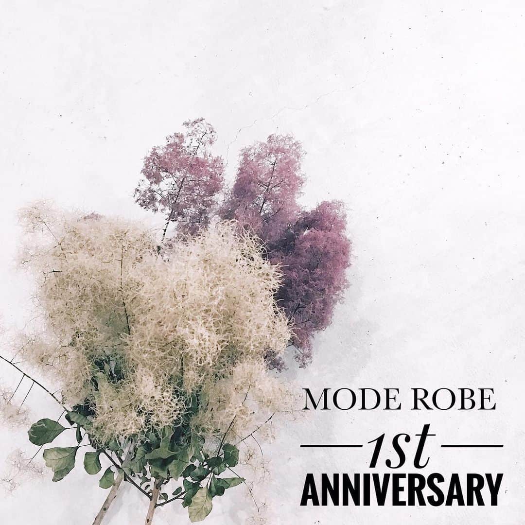 Mode Robeのグルメインスタ