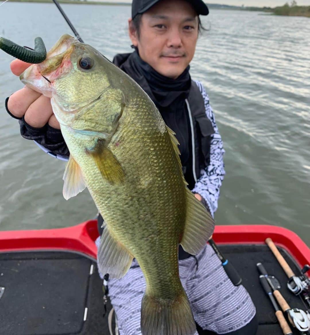 人時のインスタグラム：「今日はdepsの上杉さんのプラのお手伝いと称して利根川へ♫ 先日、たまらんばい長野さんに聞いたワッパー3のリグで先ずは一匹♫ 似たシチュエーションで今度はサカマタ6で♫ そして最後にHU70Lでいいサイズをかけるもジャンプ一発でフックアウト（涙）HU70L全色コンプリートしたくなりました（笑） 上杉さんありがとうございました♫  #hideup #deps  #たまらんばい長野」