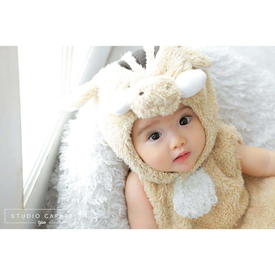 のインスタグラム：「* * Cute ❤︎❤︎ 着ぐるみ や ナチュラル衣装など Babyちゃん用の衣装 たくさんご用意しております☺︎✴︎ * * #studiocaratt #photostudio #スタジオキャラット #写真館 #スタジオキャラットアリオ八尾店 #大阪 #八尾 #アリオ八尾 #スタジオリニューアル #着ぐるみ #babyphoto #smile #cute #cutebaby #naturalstyle #crown #photooftheday #instagood #ig_kids  #instalike #photography」