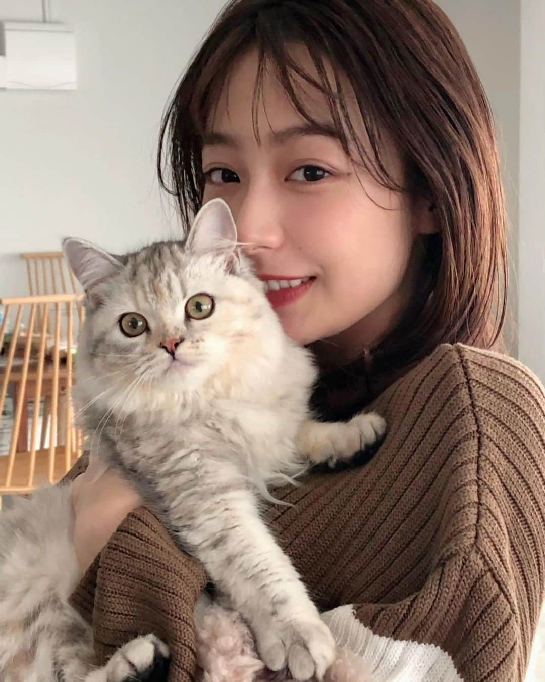 宇垣美里マネージャーさんのインスタグラム写真 - (宇垣美里マネージャーInstagram)「ねこさん！ 「Now me.マガジン」の表紙に宇垣さんが登場しております🐈  また今日19日22時からの"ダウンタウンDX"、24時からの"地獄絵図グランプリ"、21日10時53分からの"関ジャニクロニクル"にも出演いたします。 美的も発売されます！  9月はてんやわんやだった宇垣さん、昨日イベントを行ったAmazonbarでたくさんのお酒に囲まれて嬉しそうでした😍 9月を乗り切ったら自分へのご褒美にお酒を買うそうですよ🍶 #宇垣美里 #ねこ #ねこ好き #ダウンタウンdx #地獄絵図グランプリ #関ジャニクロニクル #amazonbar  #日本酒好き女子」9月19日 20時55分 - ugakimisato.mg