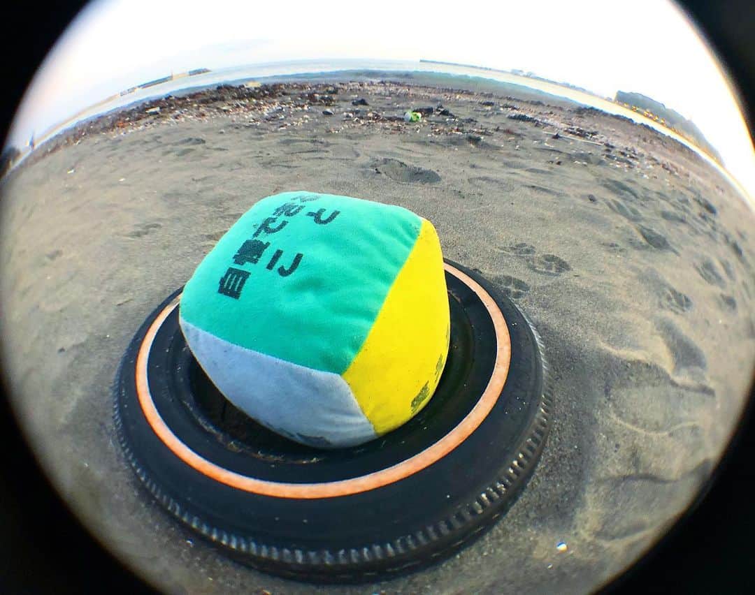 内田珠鈴さんのインスタグラム写真 - (内田珠鈴Instagram)「えのしまの海に落ちてた」9月19日 21時02分 - shuri_426