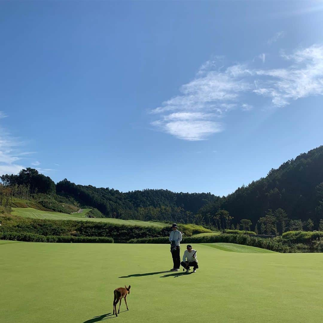 ソン・ジョンホさんのインスタグラム写真 - (ソン・ジョンホInstagram)「가을...」9月19日 21時17分 - s.jongho