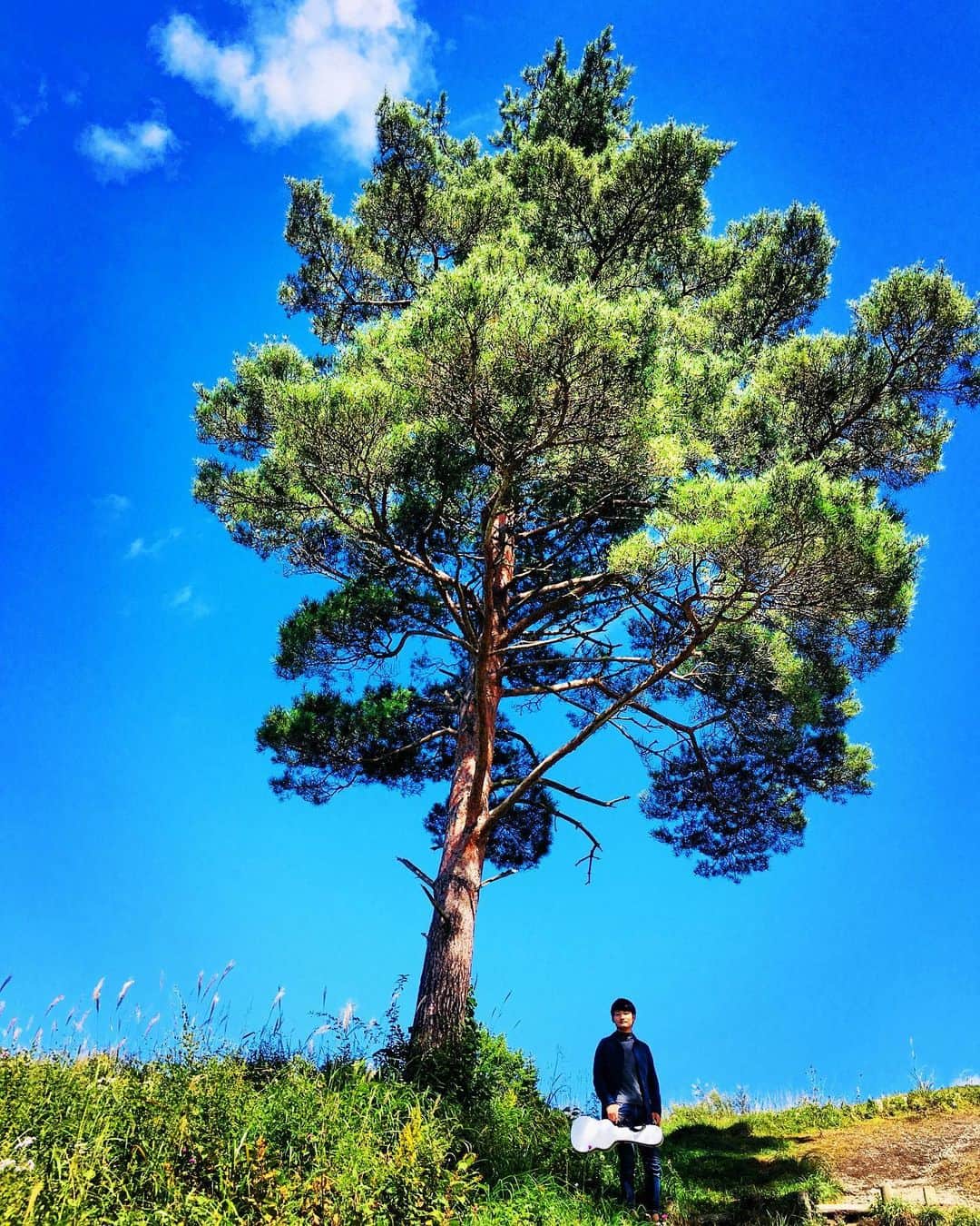 のインスタグラム：「軽井沢の青空☀️ #ukulele #ウクレレ  #ryonatoyama #名渡山遼  #軽井沢 #青空」