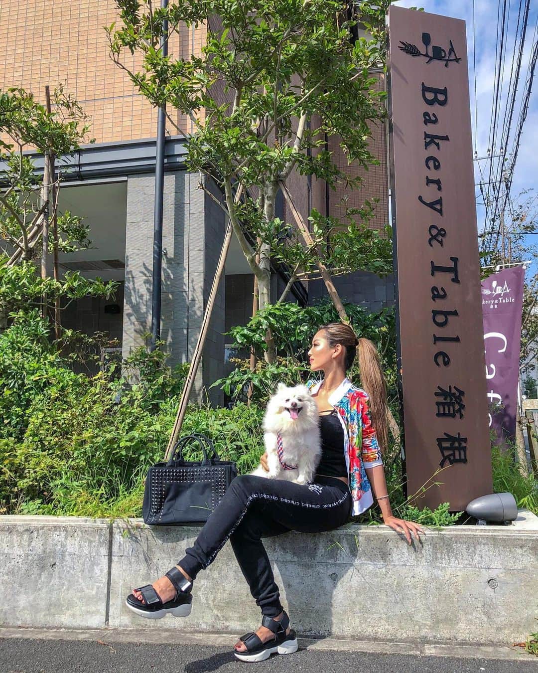 のインスタグラム：「#fashionnova#fashionnovababe#gymkingwomen#gymking#jogger#casualstyle#pomeranian#mydog#vacay#blogger#bloggerstyle#bloggerlife#ポメラニアン#ポメラニアン部#でかぽめ#重い#愛犬」