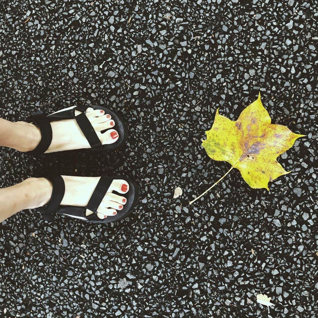 尾形沙耶香さんのインスタグラム写真 - (尾形沙耶香Instagram)「#helloautumn 🍁  #季節の変わり目 が好き」9月19日 14時27分 - sayakaogata