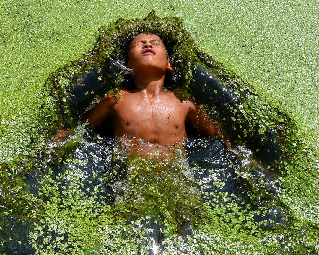 AFP通信さんのインスタグラム写真 - (AFP通信Instagram)「AFP Photo 📷 @prakash_mathema - A boy swims in a pond covered with algae at Kirtipur on the outskirts of Kathmandu. #Environment #Water #Nepal」9月19日 16時23分 - afpphoto