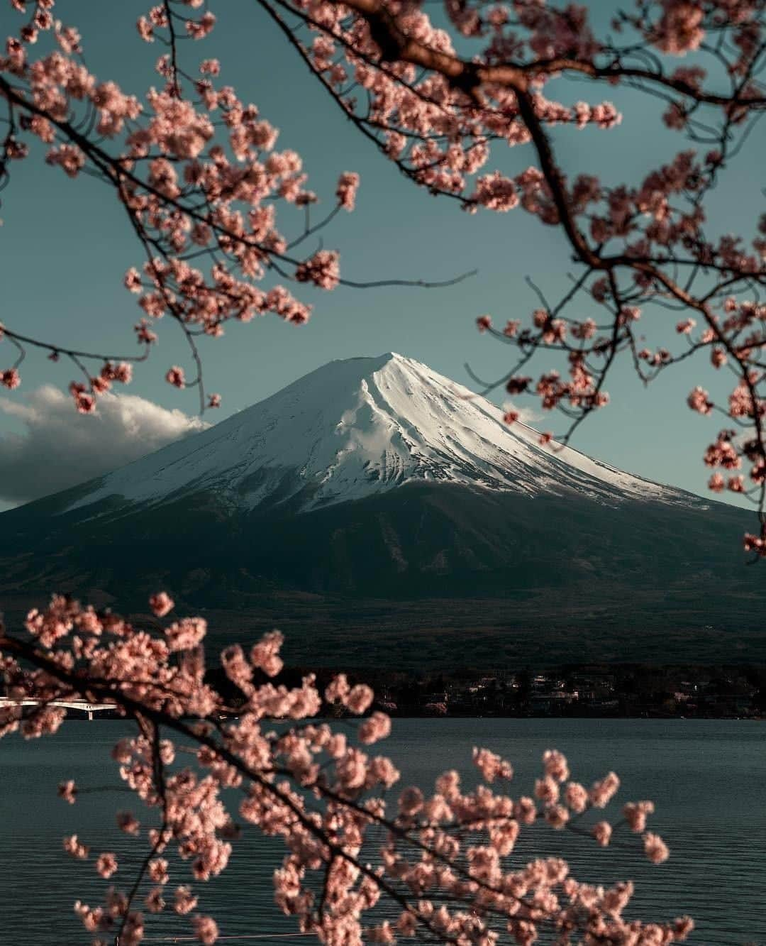 レインスプーナーさんのインスタグラム写真 - (レインスプーナーInstagram)「The wonders of Japan in full bloom. Last Spring, we traveled to Okinawa to soak in some fresh inspiration of nature in balance. Get ready to #LiveInColor.⁠ @jasonjko⁠ .⠀⁠ .⠀⁠ .⠀⁠ .⠀⁠ #alwaysgo #awakethesoul #adventureculture #campvibes #discoverearth #exploretocreate #exploringtheglobe #exploretheoutdoors #getlost  #itsinmynature #justgoshoot #keepitwild #livefolk #lostatlast #letswander #liveauthentic #neverstopexploring #realfolklife #hawaii #hawaiilife #soulaloha⠀」9月19日 22時00分 - reynspooner