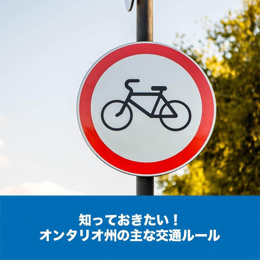 LifeTorontoさんのインスタグラム写真 - (LifeTorontoInstagram)「右側通行が原則など、カナダには日本と違う交通ルールや対応の仕方があります。また、州によっても微妙なところでルールが異なったりします。⁠ そこで、オンタリオ州の主な交通ルールや対応の仕方などを記事にまとめてみました！@lifetoronto.jp のプロフィールに記載👆🏼URLのリンク先から記事へ飛んで確認してくださいね！⠀⁣⁠ ⁠ ⁣.⁣⁣⠀﻿⁠ .⁣⠀⁣⠀﻿⁠ .⁣⠀⁣⠀﻿⁠ #交通ルール #オンタリオ #海外の交通事情 #海外 #カナダ #トロント #トロントライフ #トロント生活 #トロント在住 #カナダ生活 #カナダ在住 #カナダライフ #海外生活 #海外暮らし #海外移住 #英語 #留学 #海外留学 #トロント留学 #カナダ留学 #ワーホリ#ワーキングホリデー #カナダワーホリ #トロントワーホリ #ワーホリ生活 #海外就職 #駐在生活 #駐在 ⁣#カナダ好きな人と繋がりたい⁠」9月19日 22時00分 - lifetoronto.jp