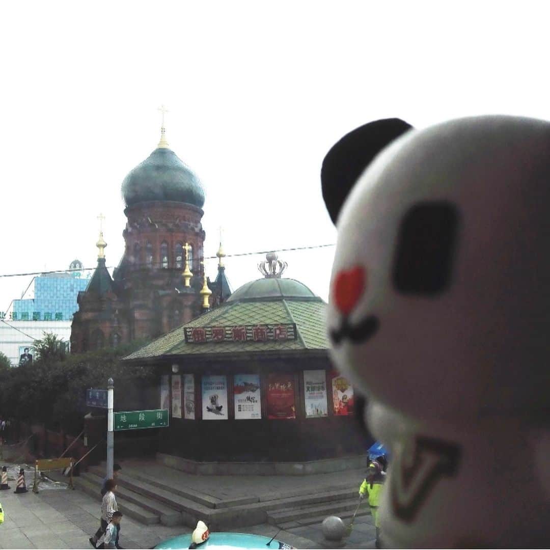 テレ朝newsさんのインスタグラム写真 - (テレ朝newsInstagram)「ハルビンのシンボルともいえる『聖ソフィア大聖堂』。ロシア正教の聖堂として1907年に建てられたそうです。なさん広場で記念写真を撮っていましたよ。 #冒険ゴーちゃん。#テレビ朝日 #テレ朝 #news #六本木 #japan #テレビ #テレビが好きな人と繋がりたい #写真 #写真好きな人と繋がりたい #photography #nofilter #ゴーちゃん #ごーちゃん #panda #おでかけ #ハルビン #中国 #中国の中のロシア #聖ソフィア大聖堂 #ロシア正教」9月19日 16時46分 - tv_asahi_news