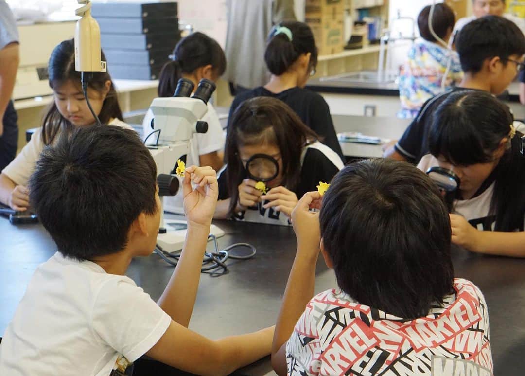 平塚市のグルメインスタ