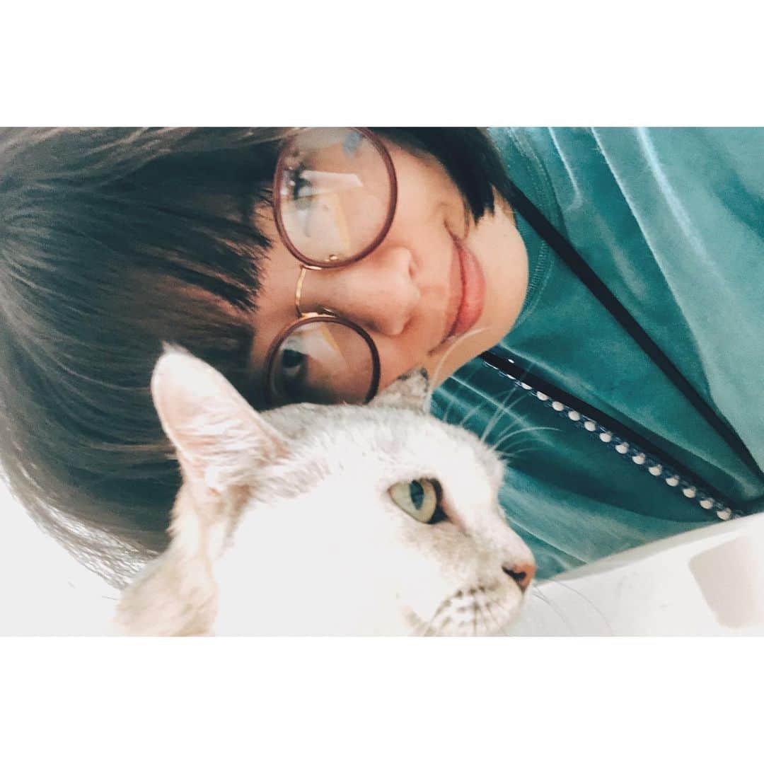 eriさんのインスタグラム写真 - (eriInstagram)「ユマを定期検診へ。 最近ようやく、この人だと思える猫の先生に出逢えて安心してる。 ココがいた時に出逢えてたらな、なんて思ったりして寂しくなったり。 元気でいてねユマ。 #YUMACOCO」9月19日 17時27分 - e_r_i_e_r_i