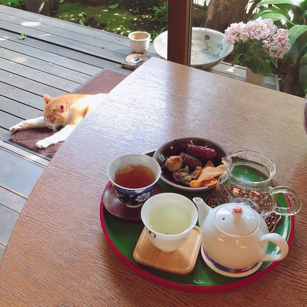 本山なみのグルメインスタ