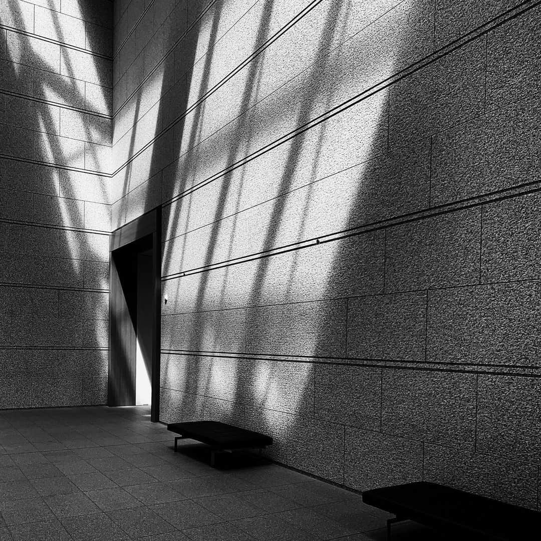 naotakeのインスタグラム：「ひなた - The sun / iPhone XR + Snapseed, 20190921 . . 日差しが厳しい季節から、ひなたの恋しい季節へ。 . . #spicollective #royalsnappingartists #infamous_family #rsa_main #infinity_photo_cult #2_fineart #jp_gallery #jp_gallery_bnw #trb_bnw #wp_bnw  #bnw_life #bnwlife_member #bnw_life_shots #bnw_captures #world_bnw #top_bnw #team_jp_ #team_jp_モノクロ #ig_energy_bw #ig_nihon #streetphotographybnw #igersjp #blackandwhite #bnw #bnwphoto #monochrome #bw #bnwphotography #ShotOniPhone #shotoniphoneXR」