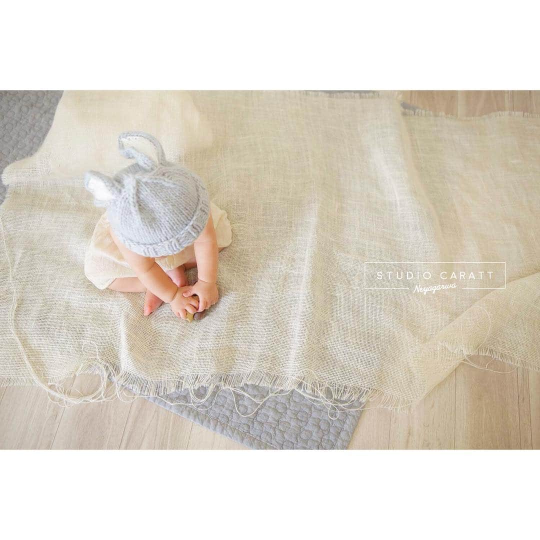 スタジオキャラット 寝屋川店のグルメインスタ