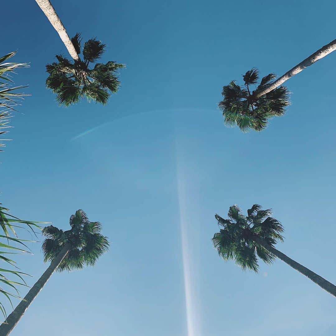 来夏さんのインスタグラム写真 - (来夏Instagram)「#🌴 天気に背中おされた1日🌤🚗 思いたったら即行動 は 長所だと思ってる😛 直進しがちだが⚠️ #stillsummer #palmtrees」9月19日 19時17分 - rairairaika