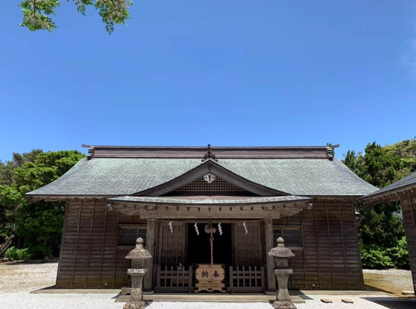 出雲阿国さんのインスタグラム写真 - (出雲阿国Instagram)「優婆夷宝明神社 その2  とにかく 圧倒されるソテツの木  私は撮れなかったけど ソテツの花が咲いていたら 待ち受けに❤️ ソテツの花は 10年に一回くらいの頻度でしか 咲かないと言われていて  強い金の気を持つ花だと言われています。  ソテツの木自体には 邪気払いの効果があるとか言われているから ほーんとファンになっちゃった。  カッコいいご神木❤️ #優婆夷宝明神社 #八丈島 #ソテツの木 #ソテツの花 見てみたいなー #偶然見れた人は待ち受けに！ #東京都の島 #開運ずもトラベル #風水 #開運」9月19日 19時29分 - izumonookuni