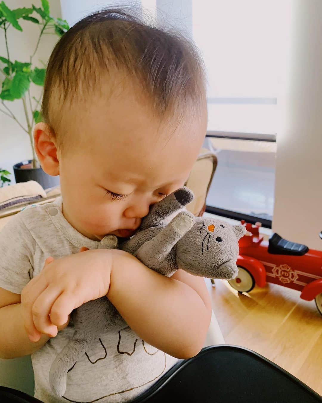 花盛友里のインスタグラム：「長男を魅了していた猫ちゃんのぬいぐるみ。 次男もまんまと魅了されております。」