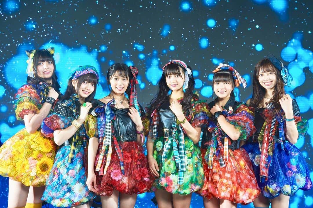 マジカル・パンチラインのインスタグラム