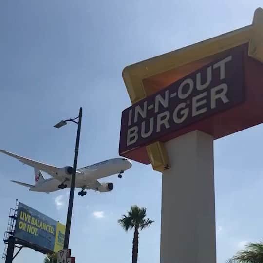 小西美穂のインスタグラム：「飛行機好きにはたまらないスポットです。 ﻿ #lax ﻿#california #innoutburger #airport #airplanespotting #ロサンゼルス #飛行機」