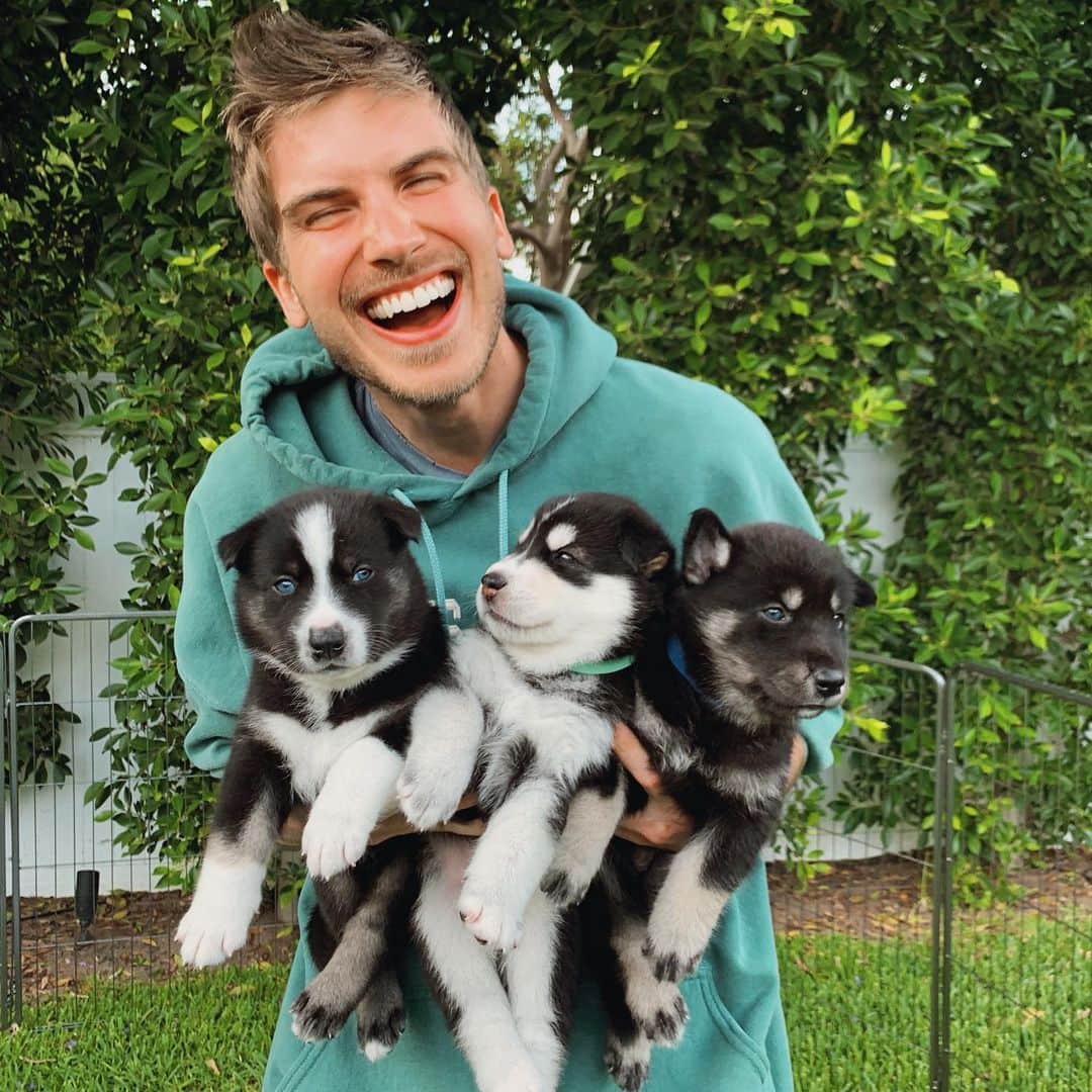 ジョーイ・グレーセッファのインスタグラム：「These puppers have brought me so much happiness the past 4 weeks!!! Happy 1 month to my little nuggets! 🎉🐶🐶🐶」