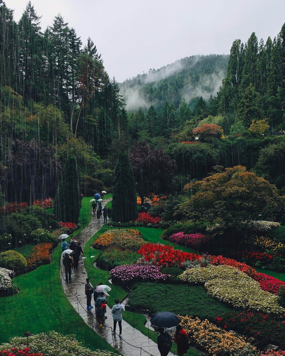 kaelさんのインスタグラム写真 - (kaelInstagram)「No trip to Victoria would be complete without a visit to The Butchart Gardens. The 55 acres of spectacular gardens are open everyday of the year and glorious in every season.  Pure joy for this flower and tree fanatic! #ExploreVictoria #ExploreBC」9月19日 22時23分 - punkodelish