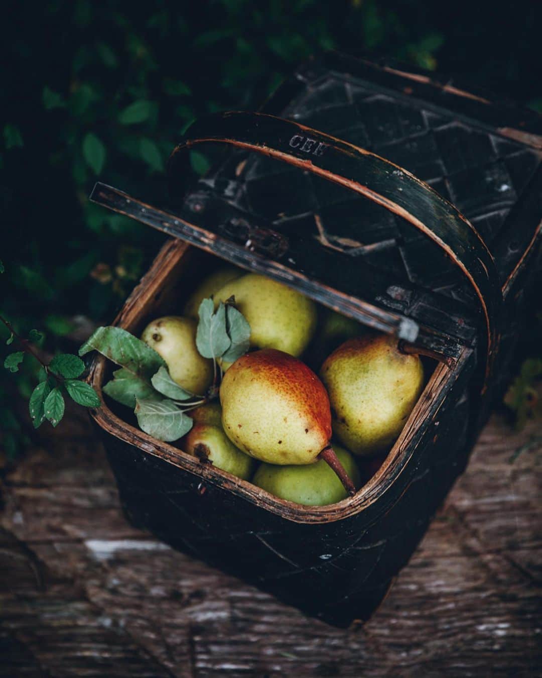 Linda Lomelinoさんのインスタグラム写真 - (Linda LomelinoInstagram)「I’ve really enjoyed posting image carousels here lately! Oftetimes I feel like a photo should be seen with others to tell a ”complete” story if that makes sense. Sort of like a blog post. I’ve always been a sucker for pairing photos together and making collages.. too bad I rarely do it anymore. Anyway, these shots are from a small workshop last year with @adelasterfoodtextures whom I haven’t seen in months and miss dearly. Mozart came with us to this workshop (swipe to see a very good boy!) and got like 100 ticks and made sure to bite all the tasseled pillows because they’re the most fun to bite 😏💓 You can find the recipe for this apple pear galette with hazelnut frangipane through the link in my profile. Definitely one of my very favorite recipes!」9月19日 22時31分 - linda_lomelino