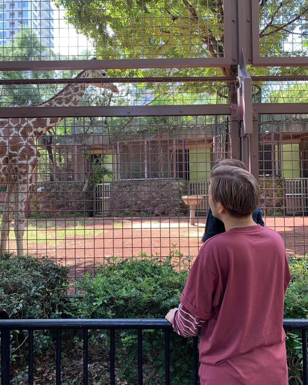 馬場一馬さんのインスタグラム写真 - (馬場一馬Instagram)「上野動物園に行ってきました🦍 秋晴れな天気で衣替えの季節ですね〜🍂 #上野動物園#大人が楽しい#やっぱ#ゴリラ#好きかも#ウホッ」9月19日 22時50分 - babakazuma