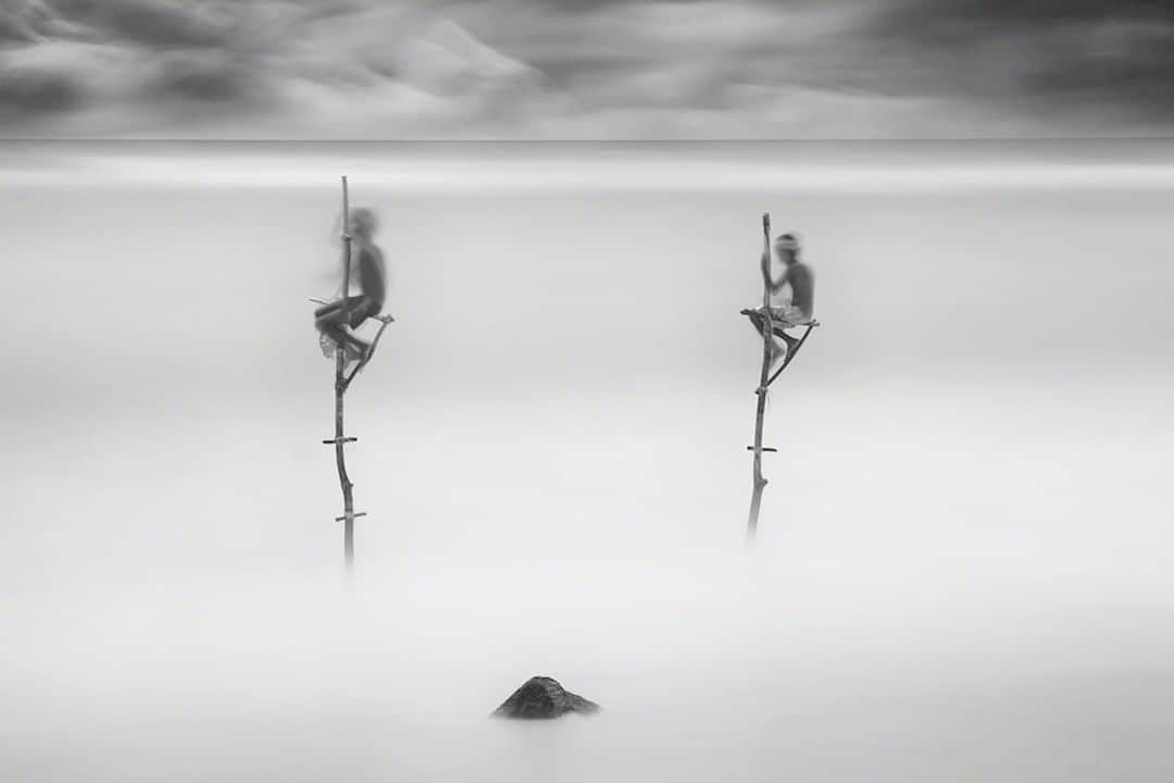 ライカのインスタグラム