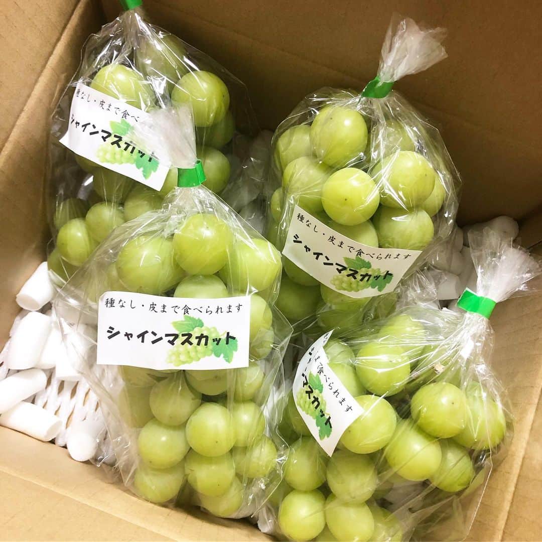 にゃんさんゴルフさんのインスタグラム写真 - (にゃんさんゴルフInstagram)「. . バーディーズカップ第7戦🏌️‍♀️ #GTBCUP . . ちーちゃんが来てくれました♡ 朝は天気良かったんだけど途中から 雷と雨がー😂⚡️ 落雷近くであって怖かった⚡️ . . 避難小屋で ゆいちゃんとモアサちゃんと一緒になったよ♡⚡️ . . ボール生還ゲームも 無事生還🥎 #srixon . . チップインとかあって ベスグロ、準優勝でした🥈 . 参加者の皆さんありがとうございました^_^ . #golf #GTバーディーズ #ゴルフトゥデイ #golfgirl #ladiesgolf #golfhotties #golfbabes #golflife #golfstagram #lovegolf #cute #golfer #ゴルフ #ゴルフ女子 #ゴルフ大好き#instagolf #スポーツ女子 #골프 #모델 #한국  #高尔夫球 #golfswing #バーディーズカップ#golfvideo #ベスグロ#100切り#紫カントリークラブ #vg_fashion」9月20日 0時14分 - miiiii0228