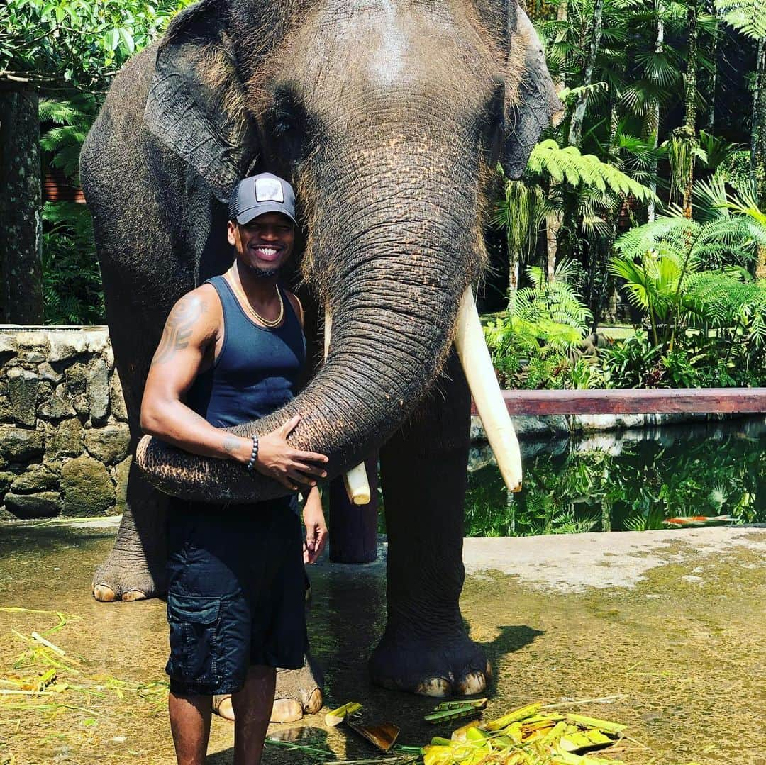 NE-YOさんのインスタグラム写真 - (NE-YOInstagram)「🐘❤️🐘❤️🐘!! @elephantsbali」9月20日 7時21分 - neyo