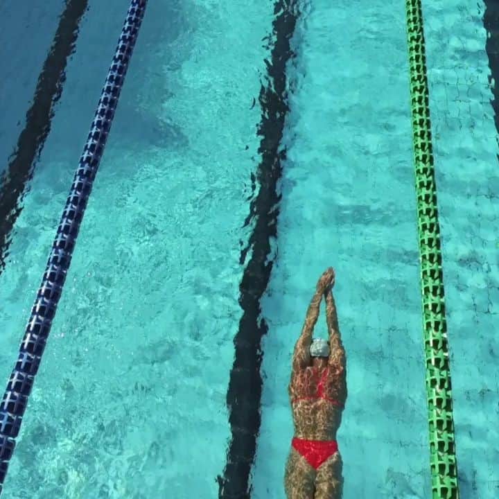 フェムケ・ヘームスケルクのインスタグラム：「🦋 🦋 🦋 🦋 . . . #Butterfly #TeamNL #OlympicKickOff 🎥: @mrwouda」