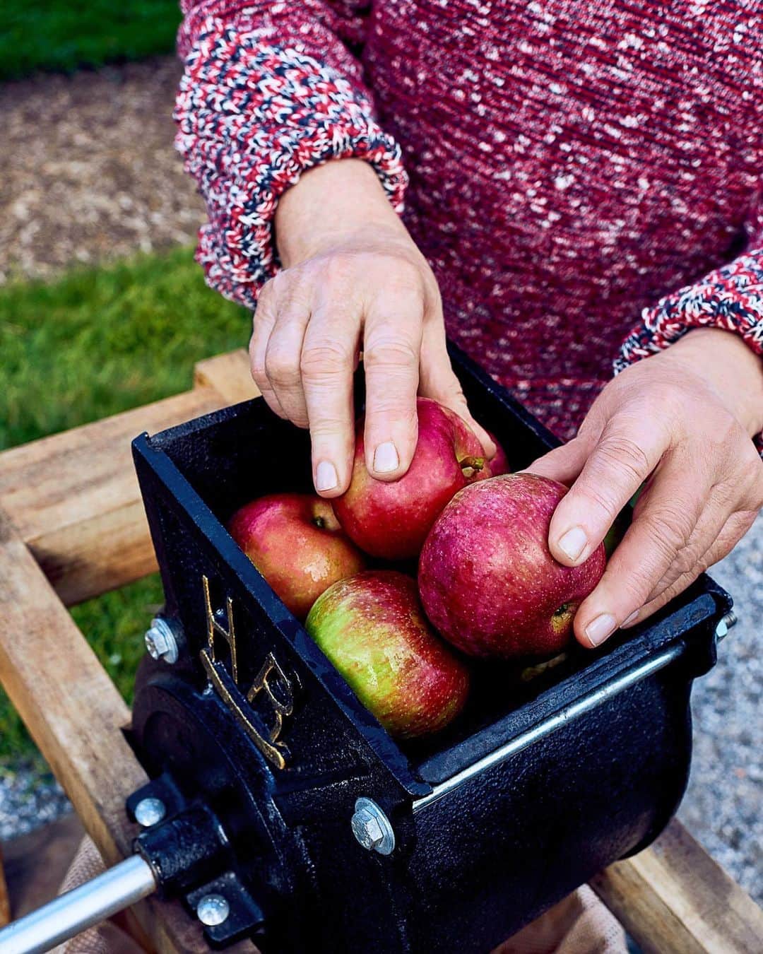 マーサ・スチュワートさんのインスタグラム写真 - (マーサ・スチュワートInstagram)「It's that time of the year...apple-picking season! 🍎 For this week's #TBT, we're going back to @marthastewart48's Bedford farm, where each fall, our founder takes out a hand-crank press to turn her bushels of apples (that grow on her dozens of apple trees) into fresh cider. Swipe the gallery and visit the link in bio to get her guide to pressing your own apple cider. 👆🏼📷: @paolaandmurray」9月20日 3時54分 - marthastewart