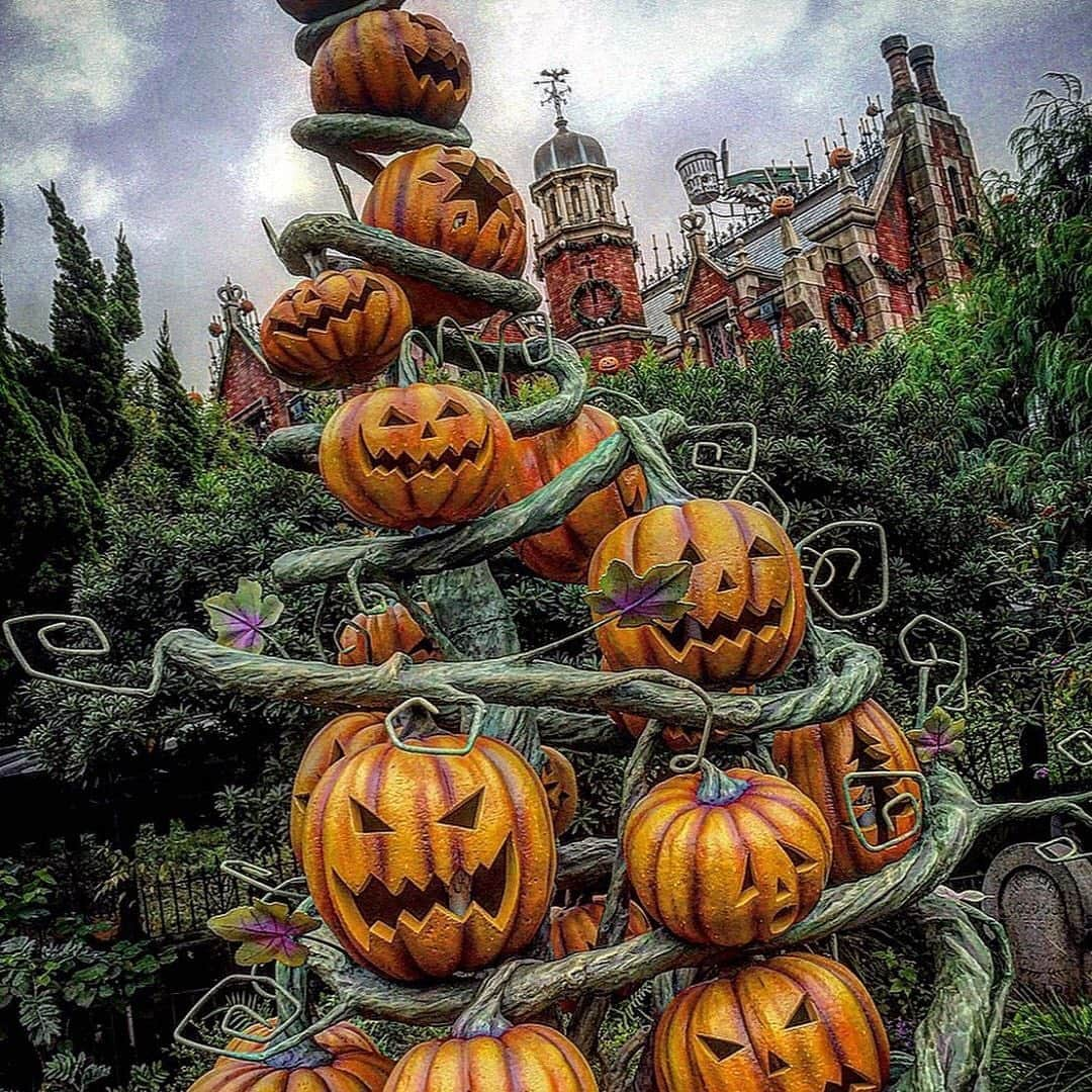 東京ディズニーリゾートさんのインスタグラム写真 - (東京ディズニーリゾートInstagram)「Who decorated the Haunted Mansion!? ブキミでステキでしょ？ (Photo:@h.m.sumowa1983)  #disneyhalloween #hauntedmansion #hauntedmansionholidaynightmare #fantasyland #tokyodisneyland #halloween #jackolantern #ディズニーハロウィーン #ホーンテッドマンション #ホーンテッドマンションホリデーナイトメアー #かぼちゃ #東京ディズニーランド #東京ディズニーリゾート #ハロウィーン #ジャックオランタン  これからもゲストのみなさんの写真をご紹介します。 #tokyodisneyresort などをつけて投稿してくださいね。詳しくは公式ブログでご案内しています。 https://www.tokyodisneyresort.jp/blog/151005/」9月20日 16時27分 - tokyodisneyresort_official