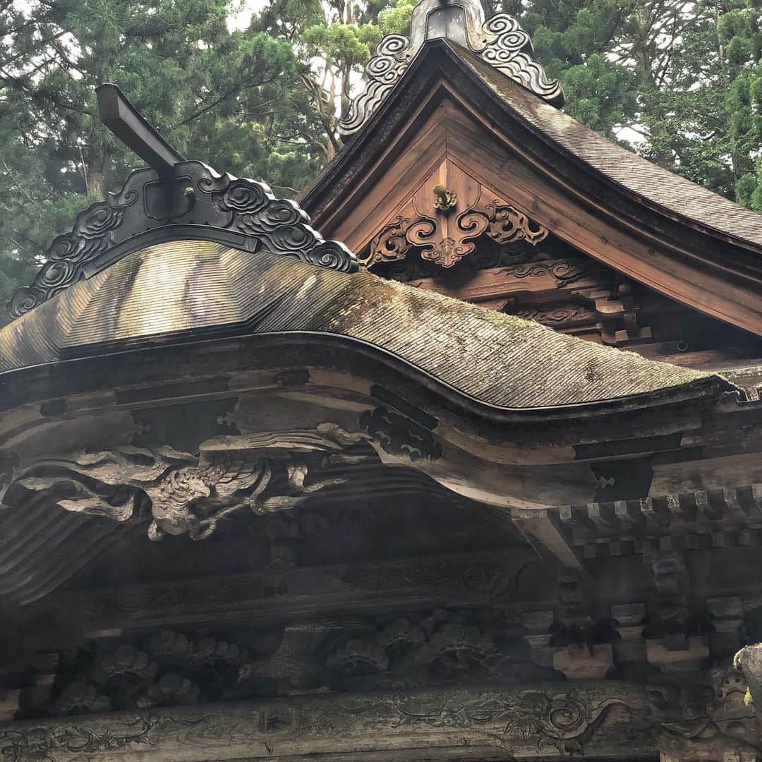 のインスタグラム：「#光前寺 #駒ヶ根 #檜皮葺 本当の木造建築 すごいなぁ。子どもの頃来た以来だったが、これはすごい！ #光苔」