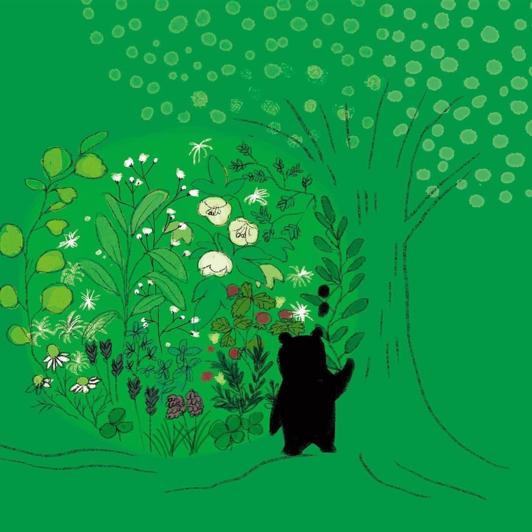 momoroさんのインスタグラム写真 - (momoroInstagram)「緑の中に  #ハーブ#herbs #botanical #illustration #momoro #ももろ#イラスト」9月20日 7時24分 - momoro6666
