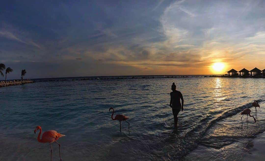 イモージェン・ケアンズさんのインスタグラム写真 - (イモージェン・ケアンズInstagram)「Kisses of the sun (LaLaLaLaLa) #aruba #flamingobeach #flamingo #atc #aroundtheworld 🏝🌅🎵」9月20日 7時49分 - imogencairns