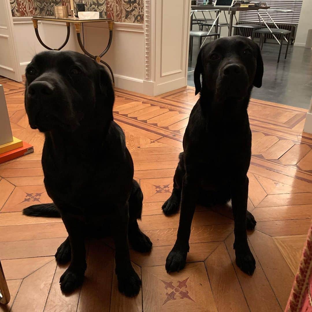 ニコラ・ジェスキエールのインスタグラム：「Work in progress with Achille and Leon on #lvss20」