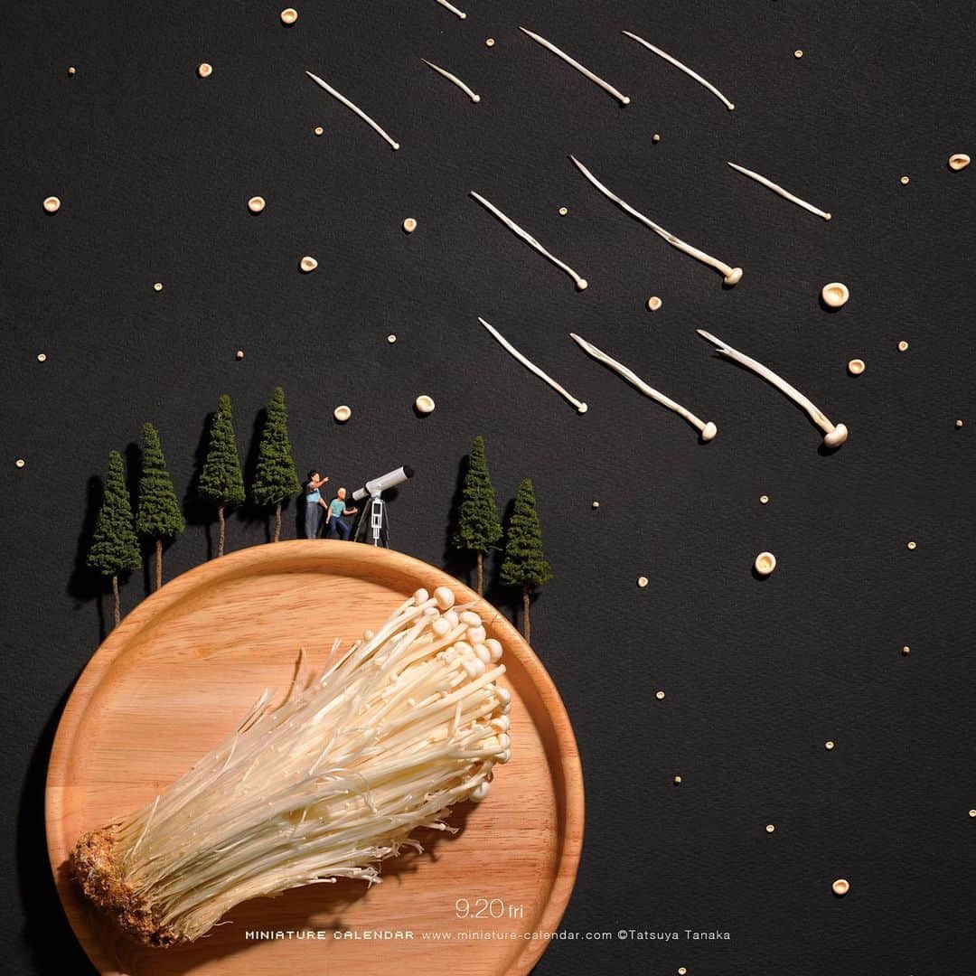 のインスタグラム：「. 9.20 fri “Shooting Star” . 流れ星というより流れ胞子 . #えのき茸 #流れ星 #EnokiMushroom #ShootingStar #このあとおいしくいただきました ─────────────── 《Exhibition info》 . 【MINIATURE LIFE展 in 福岡】 Miniature Life Exhibition in Fukuoka 8/31 sat - 10/14 mon ※火曜日休館 #MiniatureLife展 #ミニチュアライフ展 .」