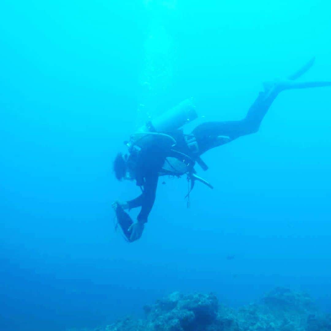 【公式】ルネッサンスリゾートオキナワのインスタグラム：「「深海泡盛」 ルネッサンスビーチ沖の深海で ゆっくりと熟成させた希少な泡盛。 海風でお楽しみいただけます。  #深海 #泡盛 #海風 #沖縄 #リゾート #ホテル #ルネッサンスリゾートオキナワ #awamori #umikaji #dolphin #okinawa #resort #hotel #renaissanceokinawaresort #renhotels」