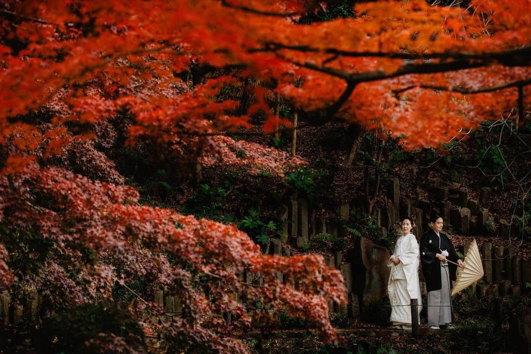 BRAININGPICTURES_tokyoのグルメインスタ