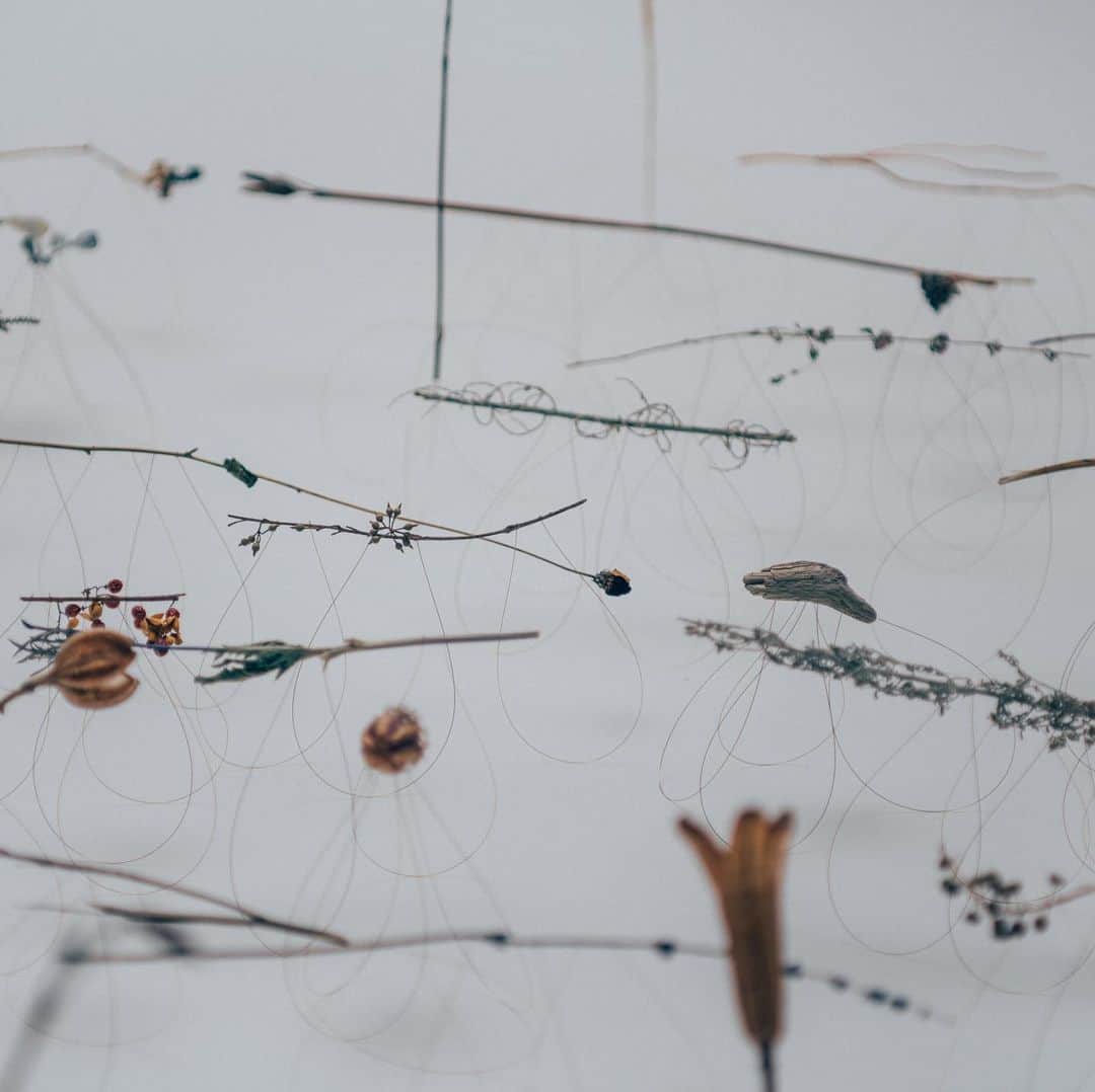 ザ･コンランショップのグルメインスタ