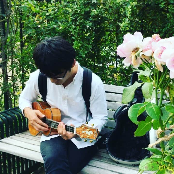 のインスタグラム：「Crossroads-(original)  #ukulele #ウクレレ」