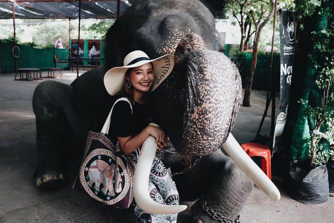 のインスタグラム：「. 象さんと🐘💕 . #タイ #旅行 #旅 #海外旅行 #バンコク #バンコク旅行 #アジア #アジア旅行 #タイ旅行 #象 #ゾウ #象乗り #鼻水 #かけられた #象さん #すごい #たるそうだった #笑 #象も生きてます #感情あります」