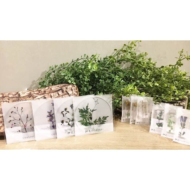 arenot_officialさんのインスタグラム写真 - (arenot_officialInstagram)「最近入荷したばかりの『toumei』は樹脂加工のプロフェッショナル集団が若手デザイナーと職人の技術で常に新しい感覚の製品を創造。アクリル樹脂をベースに自然素材やオリジナルグラフィックを用いて樹脂製品との豊かな暮らしを提案し続けています。 アーノットでは、「箔」「押花」「arts」のシリーズを展開。どれもおすすめなのですが、今回は押花をピックアップ。本物の植物が閉じ込められているような見た目なのですが、なんとこちらはペイント！本物の植物を観察しながらより〝本物〟に近づけるよう作成しているそうです。実際にご覧いただけるとそのリアルさに驚き感動するはず。 コースターと箸置きの展開です。どうぞお近くの店舗までお越しくださいませ！ www.arenot.com #arenot #toumei #tableware #acrylicresin #madeinjapan #interior #furniture #zakka #lifestyleshop #gift #アーノット #トウメイ #アクリル樹脂 #テーブルウェア #メイドインジャパン #インテリア #雑貨 #ライフスタイルショップ #インテリアショップ #ギフト」9月20日 11時46分 - arenot_official