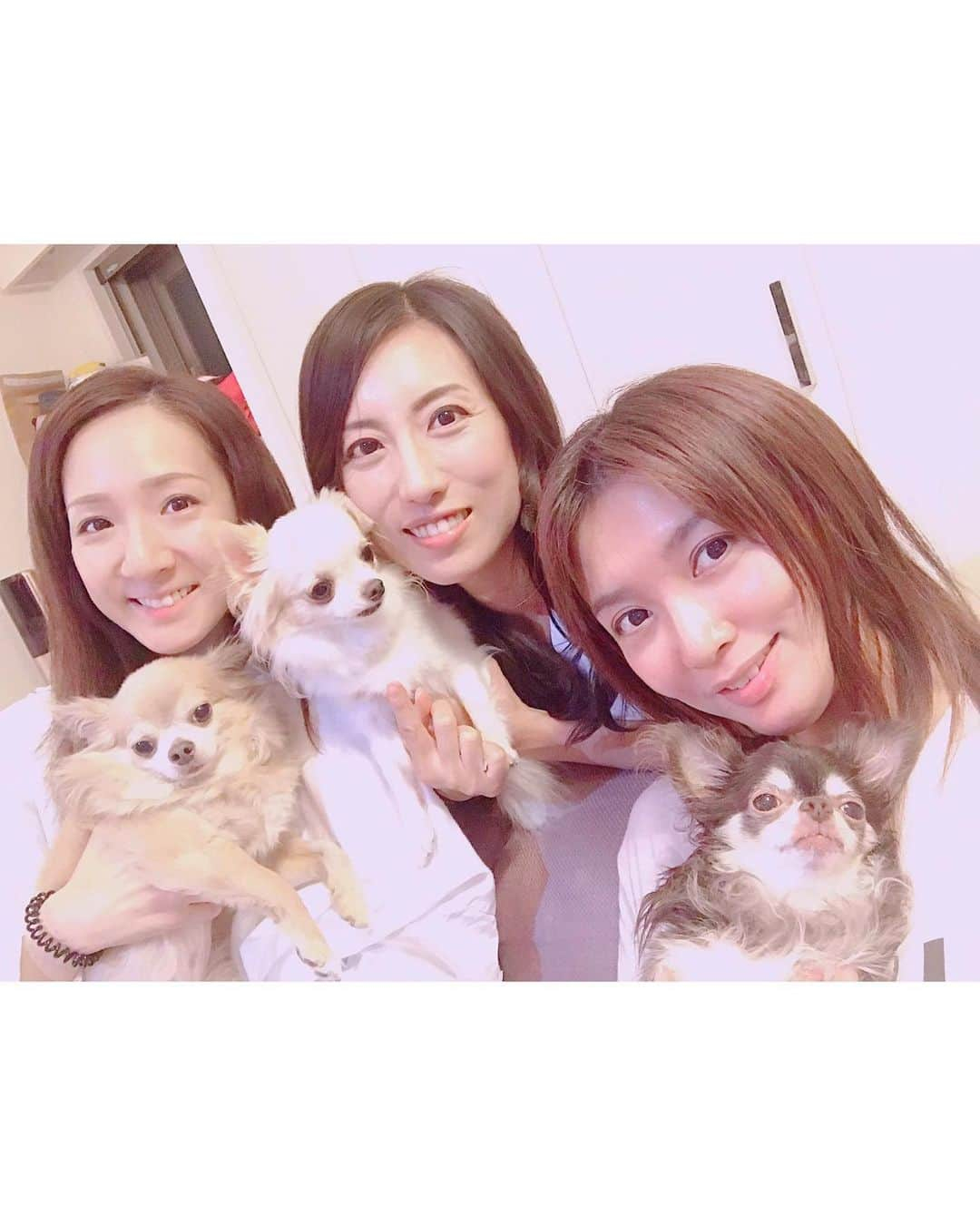 朝風れいさんのインスタグラム写真 - (朝風れいInstagram)「久しぶりの🐕会🥂 ・ ・ 前回〝明るいうちから時間を気にせず飲む会〟をしたのですが（笑）その時、次は〝日本酒を飲む会〟を開催しよう😋って約束をしたので、昨日は日本酒に合うものを3人で作って、美味しく頂きました❤️ ・ ・ 手前から 豚肉の豆苗巻き 明太チーズ卵焼き 茄子の煮浸し 手羽中の焼き鳥 刺身サラダ ・ 写真はないけど、きのこのバター焼きも食べた😋 ・ そして、デザートにBAKEのチーズケーキ😍 ・ ・ 沢山食べて飲んで、喋って… 最高過ぎました（๑⃙⃘ˊ꒳​ˋ๑⃙⃘） ・ ・ レギュラーメンバーのモカちゃん🐕が不在だったので、次回はまた一緒に盛り上がれたらいいなぁー♡ ・ ・ ・ #犬会 #女子会 #ホームパーリー #飼い主たち #いつめん #キングさん #蓮城まこと さん #なえちゃん #涼瀬みうと さん #ショコラ #シュガー #くるみ #くるみが唯一平気なワンワン達」9月20日 12時51分 - rei.wd