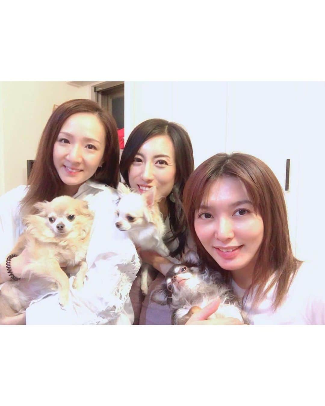 朝風れいさんのインスタグラム写真 - (朝風れいInstagram)「久しぶりの🐕会🥂 ・ ・ 前回〝明るいうちから時間を気にせず飲む会〟をしたのですが（笑）その時、次は〝日本酒を飲む会〟を開催しよう😋って約束をしたので、昨日は日本酒に合うものを3人で作って、美味しく頂きました❤️ ・ ・ 手前から 豚肉の豆苗巻き 明太チーズ卵焼き 茄子の煮浸し 手羽中の焼き鳥 刺身サラダ ・ 写真はないけど、きのこのバター焼きも食べた😋 ・ そして、デザートにBAKEのチーズケーキ😍 ・ ・ 沢山食べて飲んで、喋って… 最高過ぎました（๑⃙⃘ˊ꒳​ˋ๑⃙⃘） ・ ・ レギュラーメンバーのモカちゃん🐕が不在だったので、次回はまた一緒に盛り上がれたらいいなぁー♡ ・ ・ ・ #犬会 #女子会 #ホームパーリー #飼い主たち #いつめん #キングさん #蓮城まこと さん #なえちゃん #涼瀬みうと さん #ショコラ #シュガー #くるみ #くるみが唯一平気なワンワン達」9月20日 12時51分 - rei.wd