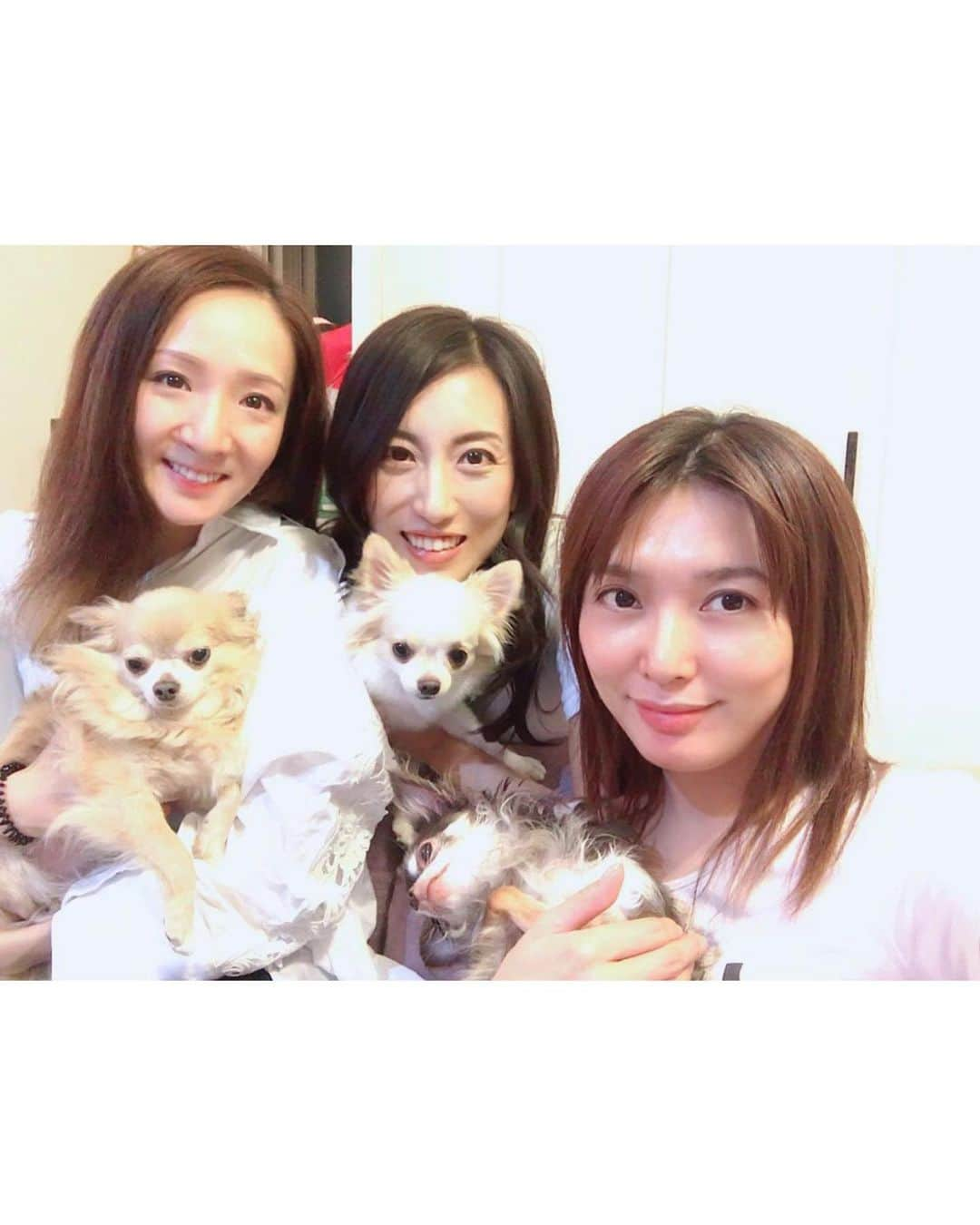 朝風れいさんのインスタグラム写真 - (朝風れいInstagram)「久しぶりの🐕会🥂 ・ ・ 前回〝明るいうちから時間を気にせず飲む会〟をしたのですが（笑）その時、次は〝日本酒を飲む会〟を開催しよう😋って約束をしたので、昨日は日本酒に合うものを3人で作って、美味しく頂きました❤️ ・ ・ 手前から 豚肉の豆苗巻き 明太チーズ卵焼き 茄子の煮浸し 手羽中の焼き鳥 刺身サラダ ・ 写真はないけど、きのこのバター焼きも食べた😋 ・ そして、デザートにBAKEのチーズケーキ😍 ・ ・ 沢山食べて飲んで、喋って… 最高過ぎました（๑⃙⃘ˊ꒳​ˋ๑⃙⃘） ・ ・ レギュラーメンバーのモカちゃん🐕が不在だったので、次回はまた一緒に盛り上がれたらいいなぁー♡ ・ ・ ・ #犬会 #女子会 #ホームパーリー #飼い主たち #いつめん #キングさん #蓮城まこと さん #なえちゃん #涼瀬みうと さん #ショコラ #シュガー #くるみ #くるみが唯一平気なワンワン達」9月20日 12時51分 - rei.wd