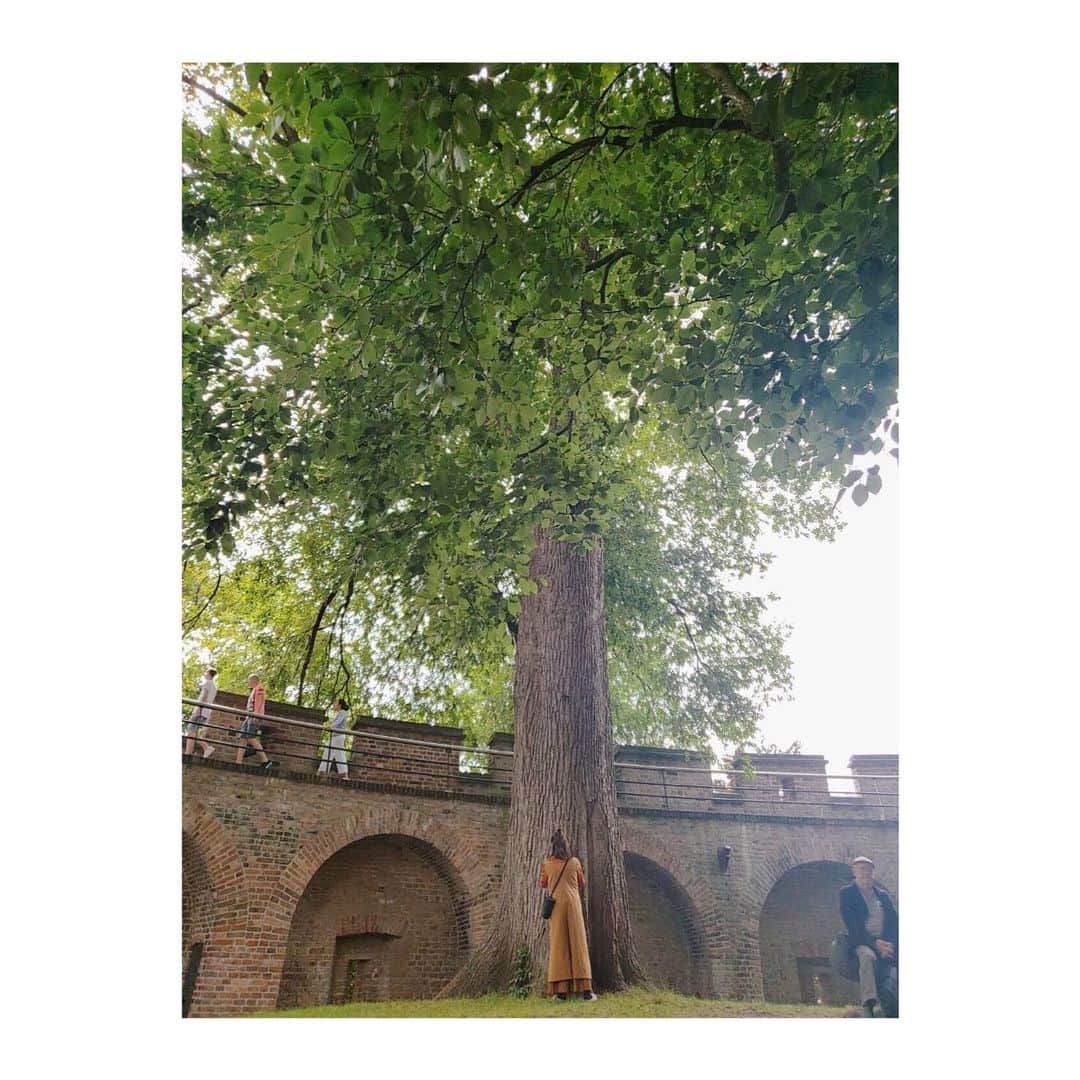 松岡茉優さんのインスタグラム写真 - (松岡茉優Instagram)「東京は束の間の晴れ  木のパワー届きますか？ ふっとい木を見つけたら 両手で木に触れてみてください めっちゃなんか貰えるから。  気づけば季節の変わり目ですね みなさまどうかご自愛ください。  #9月も後半へ #先々月花粉症だったはずなんだけど #おかしいな #秋花粉かな」9月20日 13時12分 - mayu_matsuoka_koushiki
