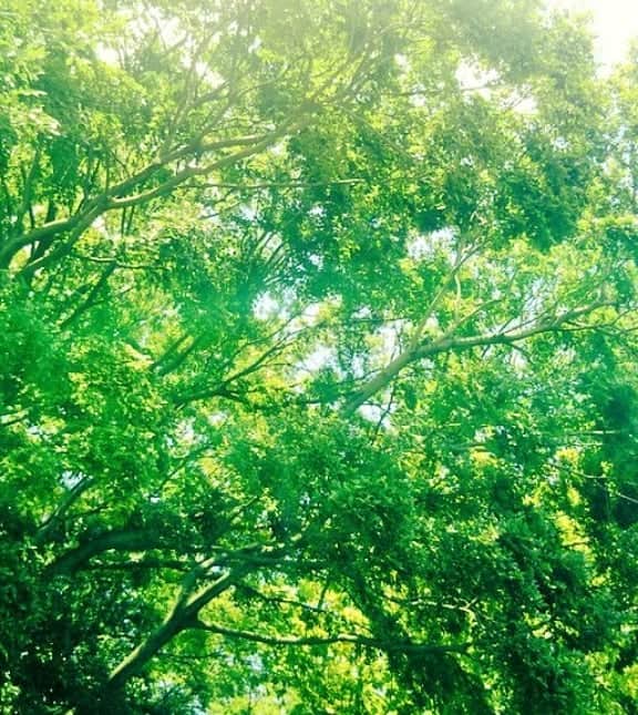 重松隆志さんのインスタグラム写真 - (重松隆志Instagram)「バッサリと。 日光浴。 次の作品に向けて！ #映画 #撮影」9月20日 13時56分 - shige_man_