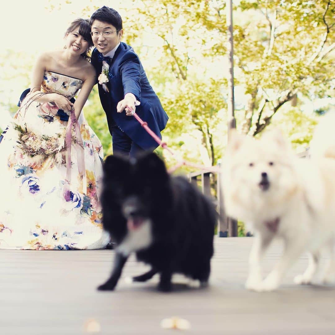 小林樓《新潟県見附市：結婚式場》のインスタグラム：「愛犬とずっ〜と一緒の結婚式♡どちらも主役！！ほねっこパワーは最強です！！#小林樓#結婚式#wedding#ウェディング#和モダン#結婚式レポ#大人女子#大人可愛い#大人婚#可愛い#日本庭園#JapaneseGarden#和婚#白無垢#色打掛#新潟県#新潟#見附市#見附#中越#和婚をもっと盛り上げたい#新潟プレ花嫁#新潟卒花嫁#新潟花嫁#新潟プレ花嫁#プレ花嫁#卒花嫁#新潟花嫁#思わず写真を撮りたくなる結婚式#20190915」